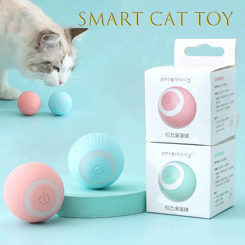 Bolinha interativa para gatos - Órion Store