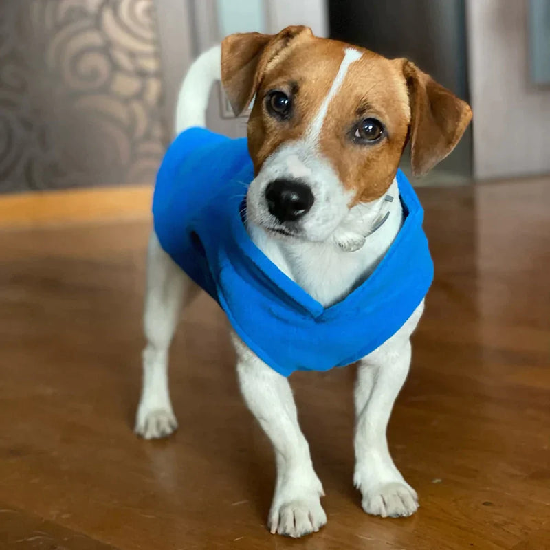 Roupinha para cães - Órion Store